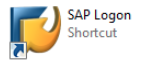 sap logon windows