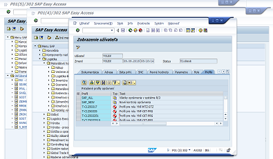 sap oprávnenie používateľ